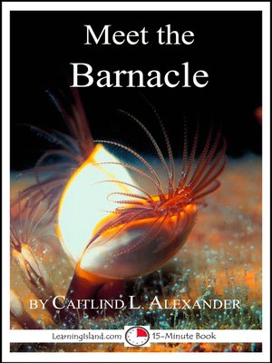 cover image of Meet the Barnacle